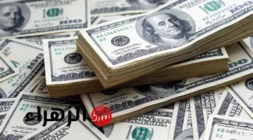 تراجع جديد.. سعر الدولار مقابل الجنيه المصري يسجل مستويات منخفضة بالبنوك المحلية